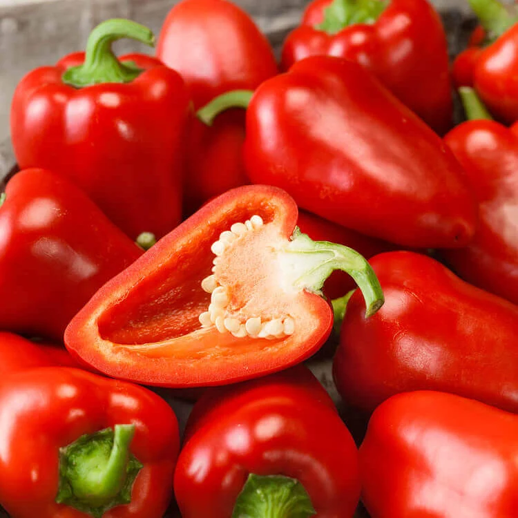 Poivron rouge 'Pimento'