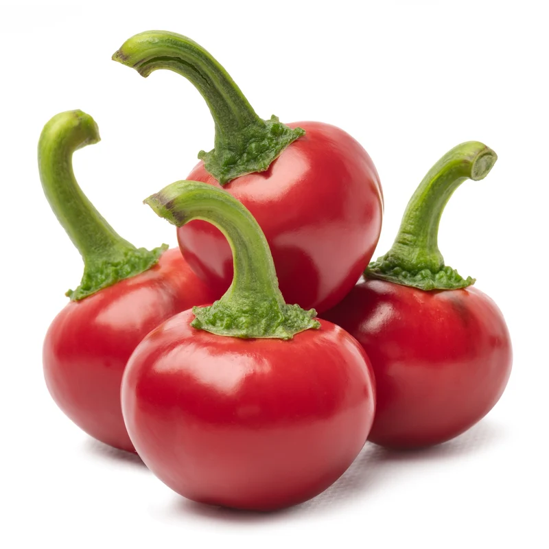 Piment fort 'Cerise Rouge Piquant'