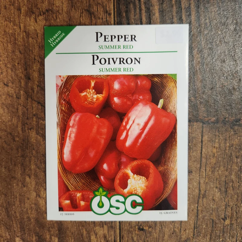 Poivron rouge 'Summer Red'