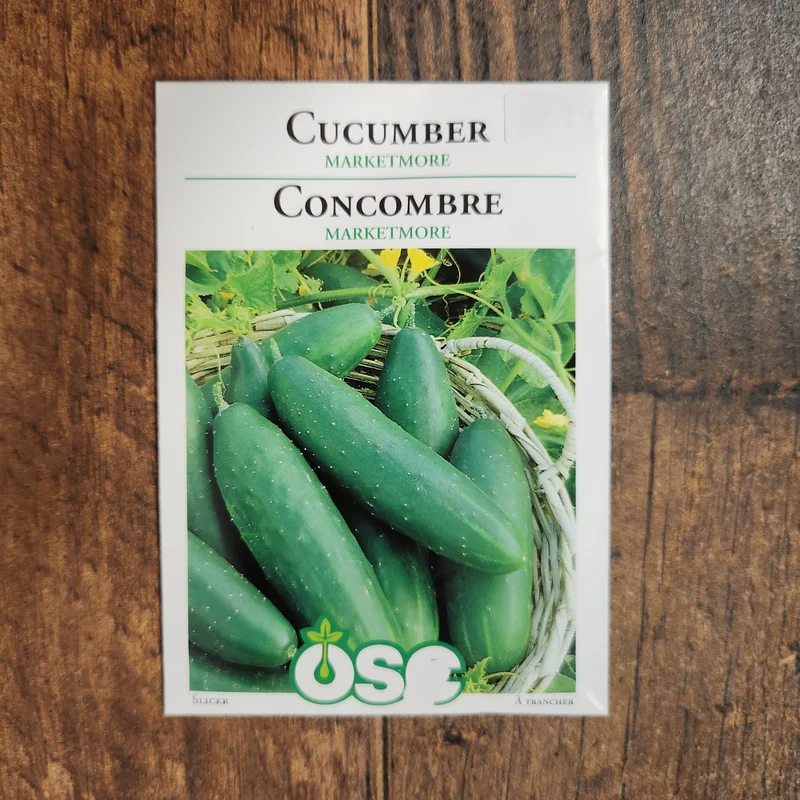 Concombre 'Marketmore'