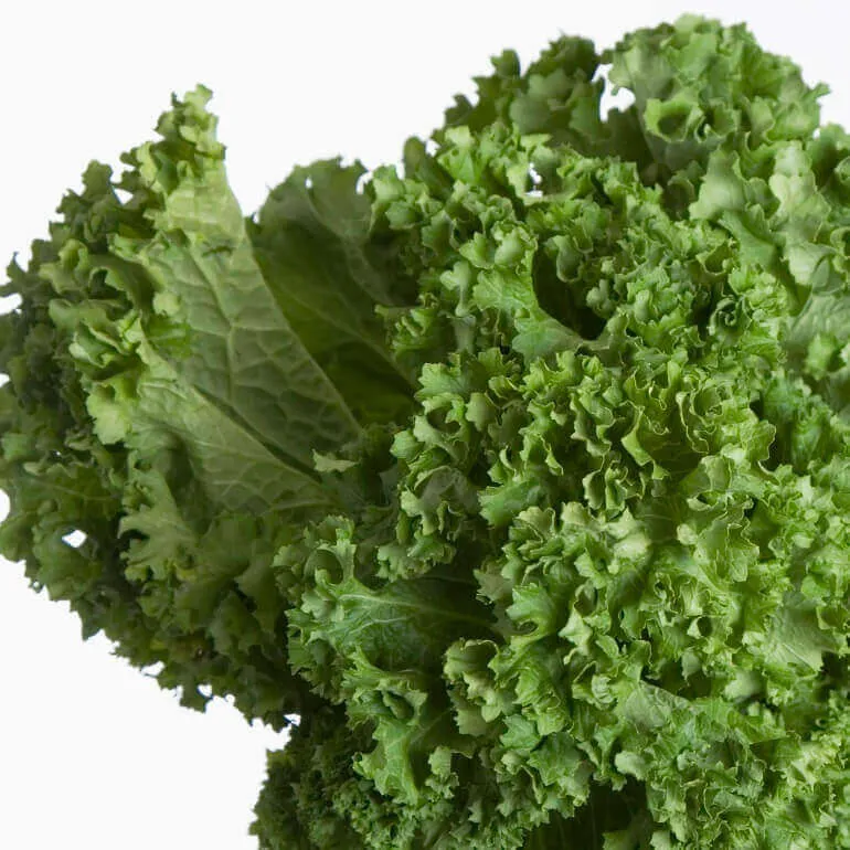 Moutarde frisée géantes du sud