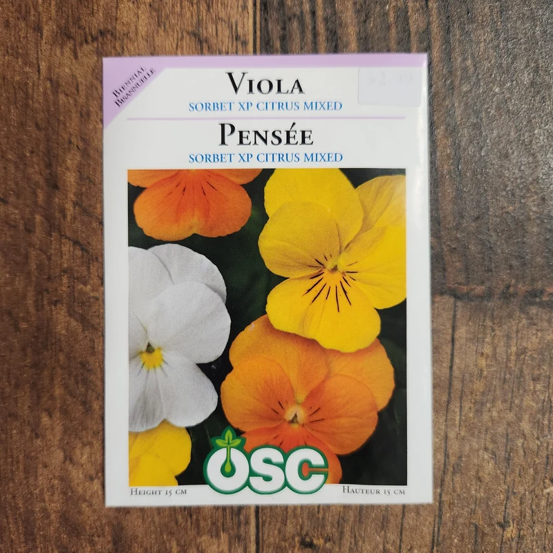 Pensée 'Sorbet XP Citrus Mixed'