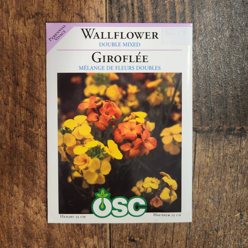Giroflée 'Doubles Mixtes'