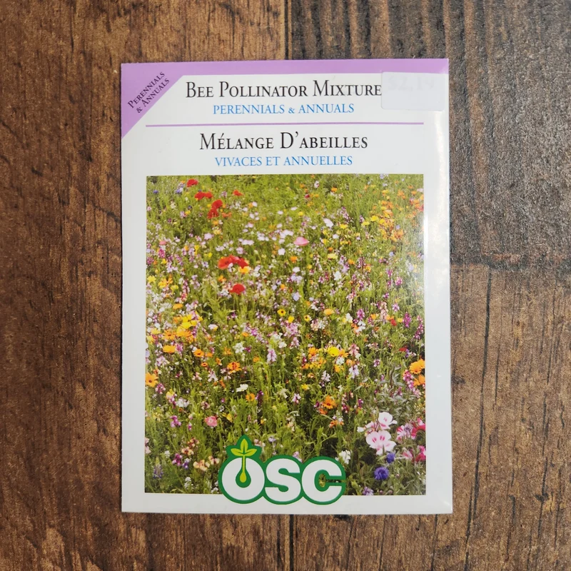 Mélange fleurs de prairie pollinisateurs d'abeilles
