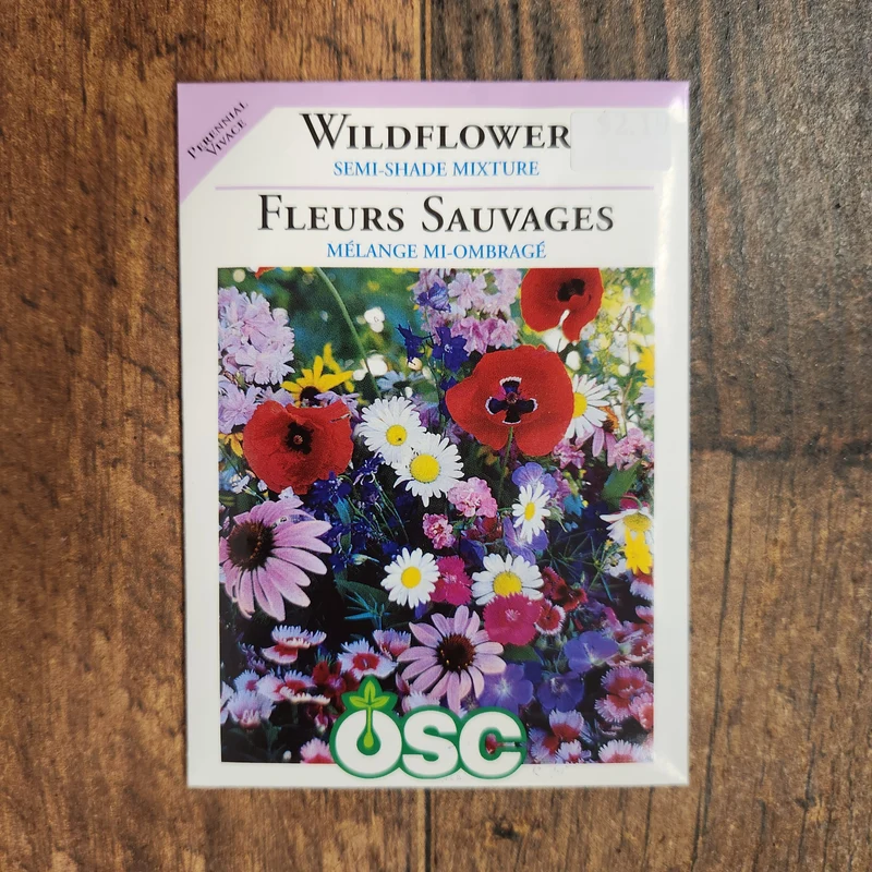 Mélange de fleurs sauvages semi-ombragées