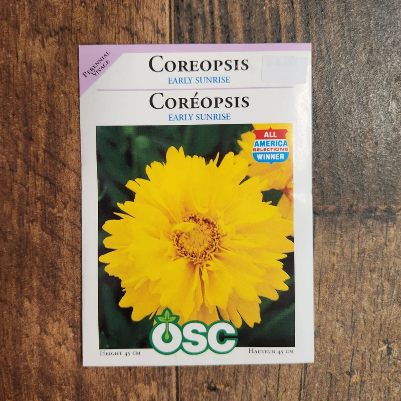 Coréopsis 'Lever du soleil'