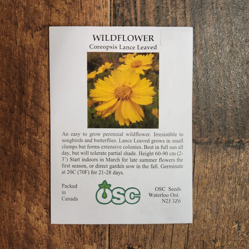 Coréopsis 'Feuilles de Lance'