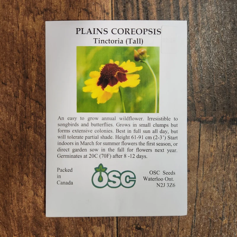 Coréopsis des 'Plaines'