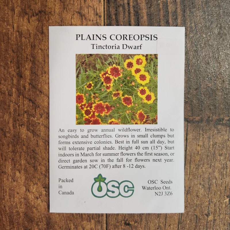 Coréopsis des 'Plaines Naines'