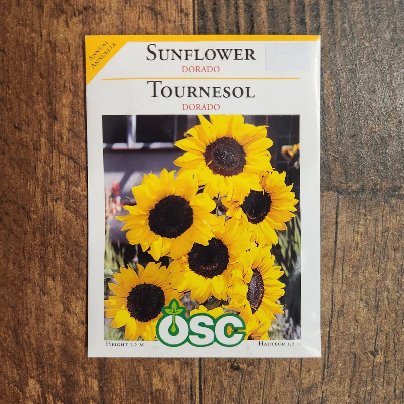 Tournesol 'Dorado'