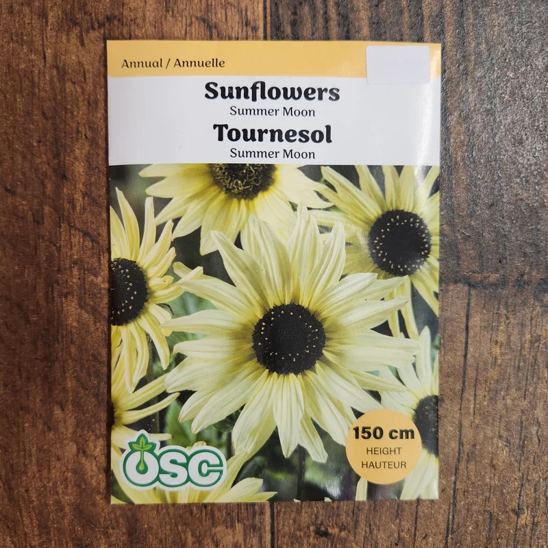 Tournesol 'Summer Moon'