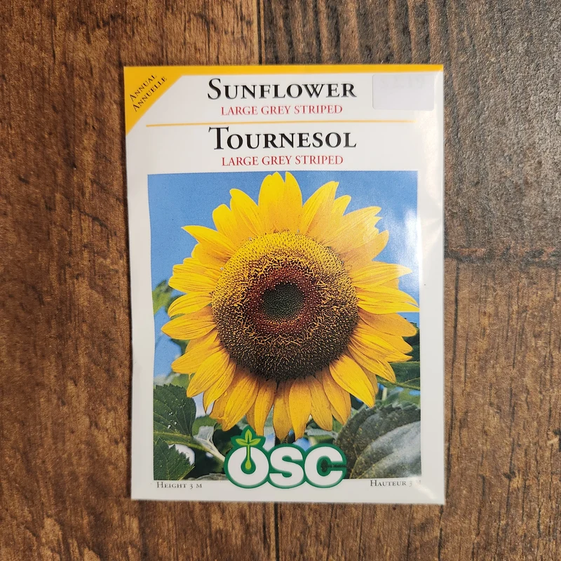 Tournesol 'Large Grey Striped'