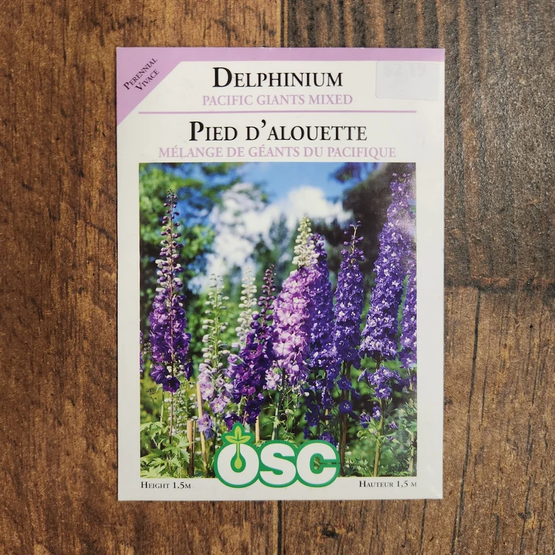 Pied d'alouette 'géants du Pacifique'