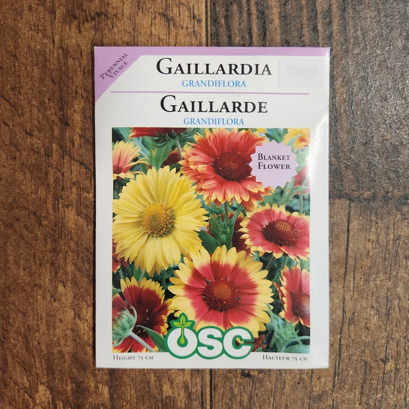 Gaillarde 'Grandiflora'