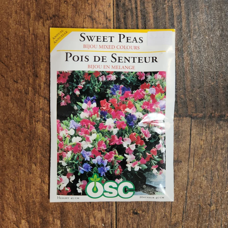 Pois de senteur mélange 'Bijou'