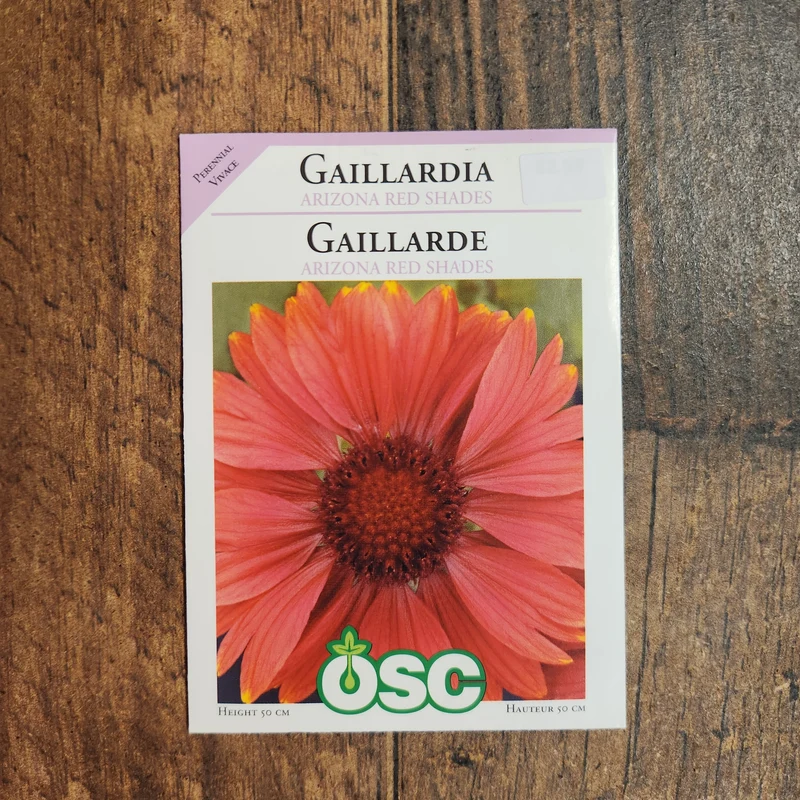 Gaillarde 'Arizona Red Shades'