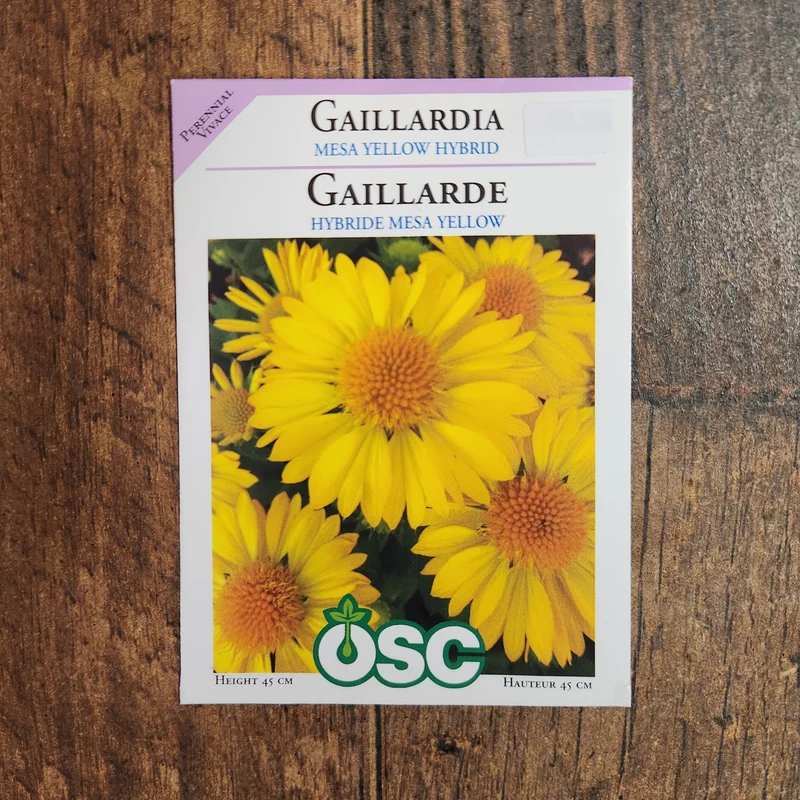 Gaillarde 'Hybride Jaune Mesa'