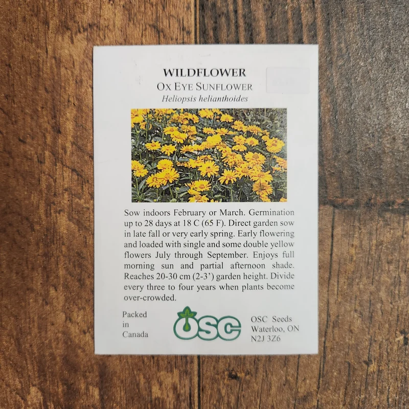 Hélianthe 'Faux Tournesol'