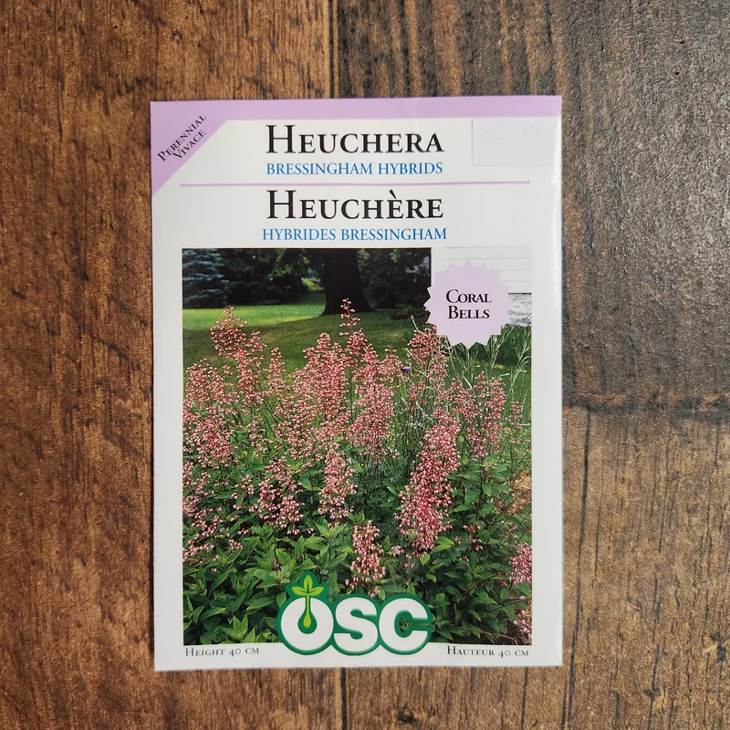 Heuchère Bressingham 'Clochettes de Corail'