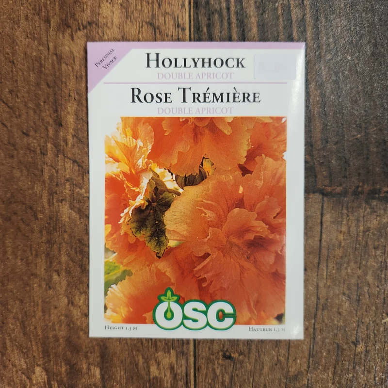 Rose trémière 'Double Apricot'