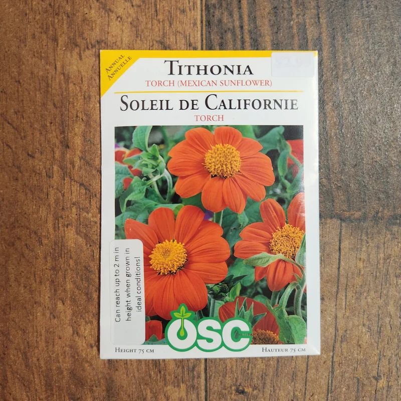 Tithonia 'Torche Mexicaine'