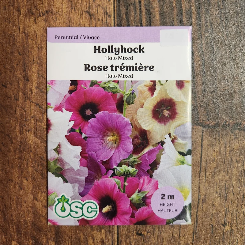 Rose trémière 'Halo Mixed'