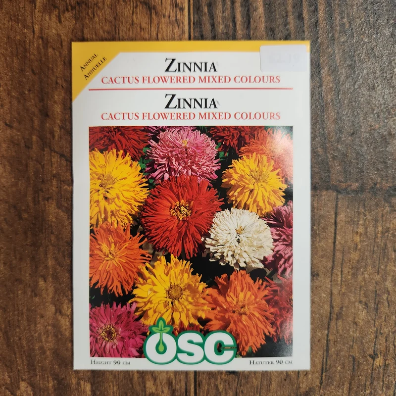 Mélange de zinnia à fleurs de cactus