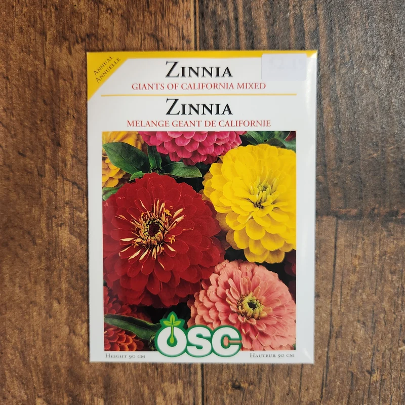 Mélange de zinnia 'Géants de Californie'