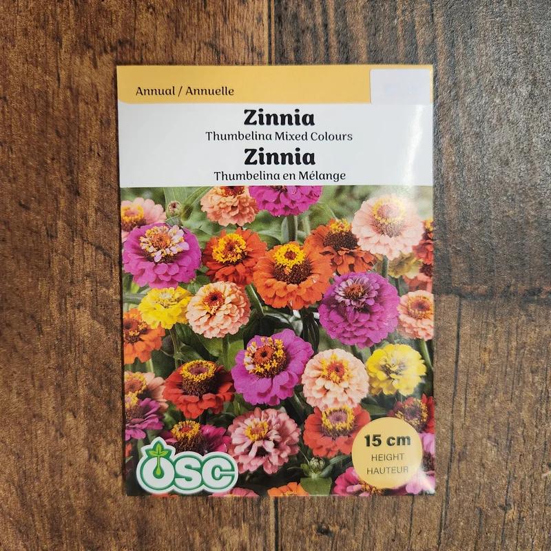 Mélange de zinnia 'Thumbelina'