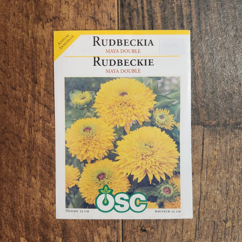 Rudbeckie 'Maya Double'