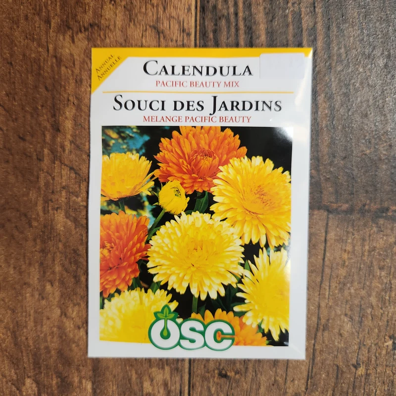 Calendule mélange 'Pacific Beauty'