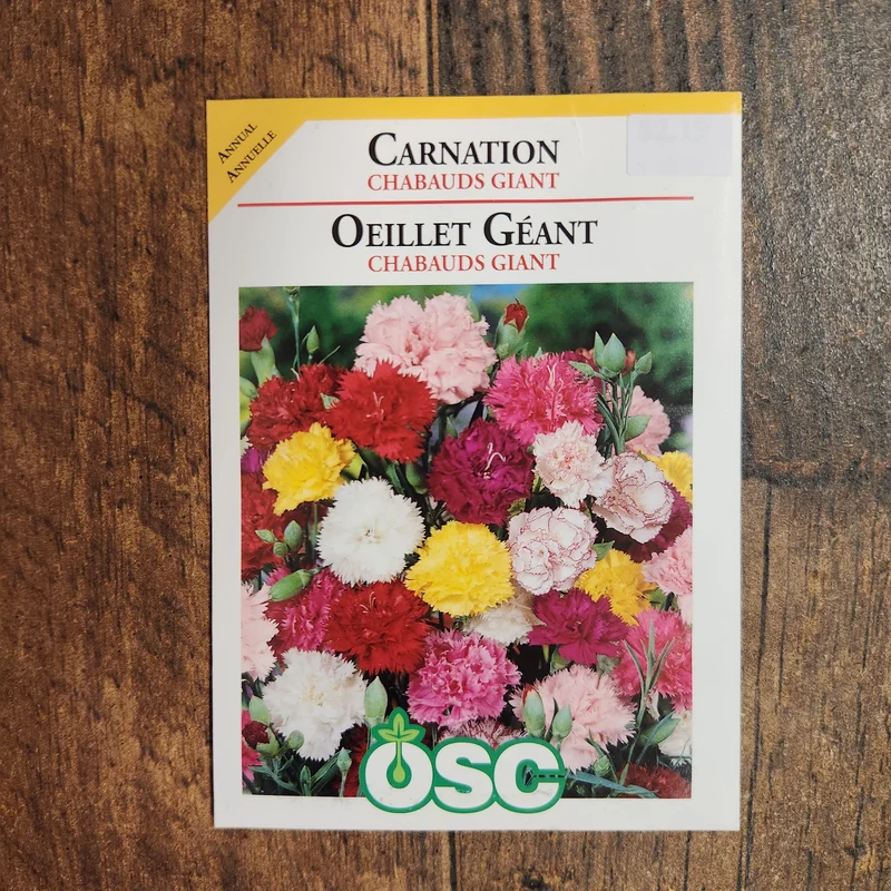 Œillet 'Chabauds Géant'