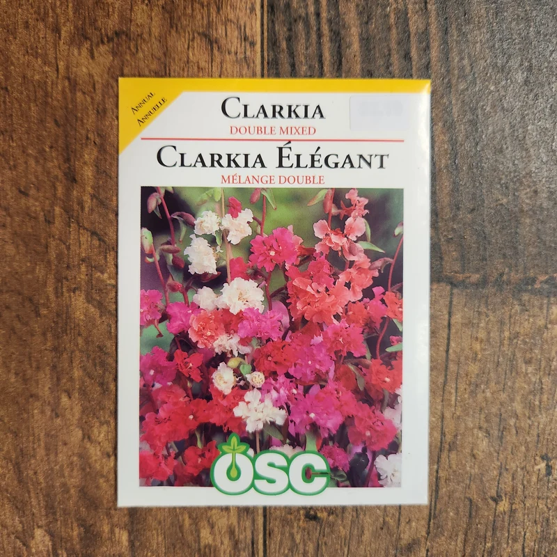 Clarkia Double Mixte