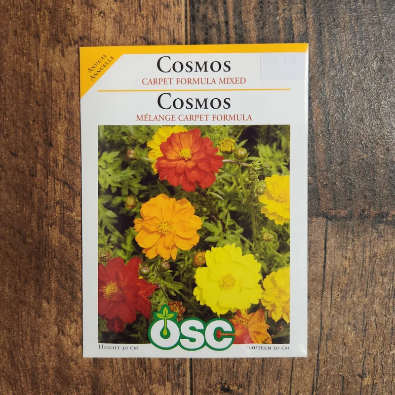 Cosmos mélange 'Tapis Formule'