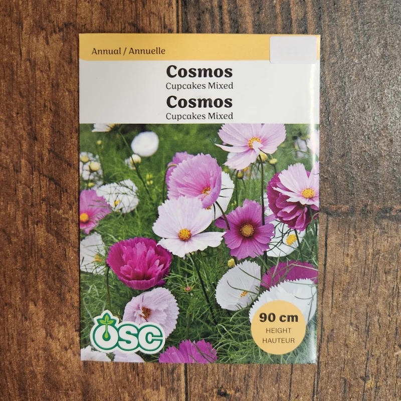Cosmos mélange 'Cupcakes'