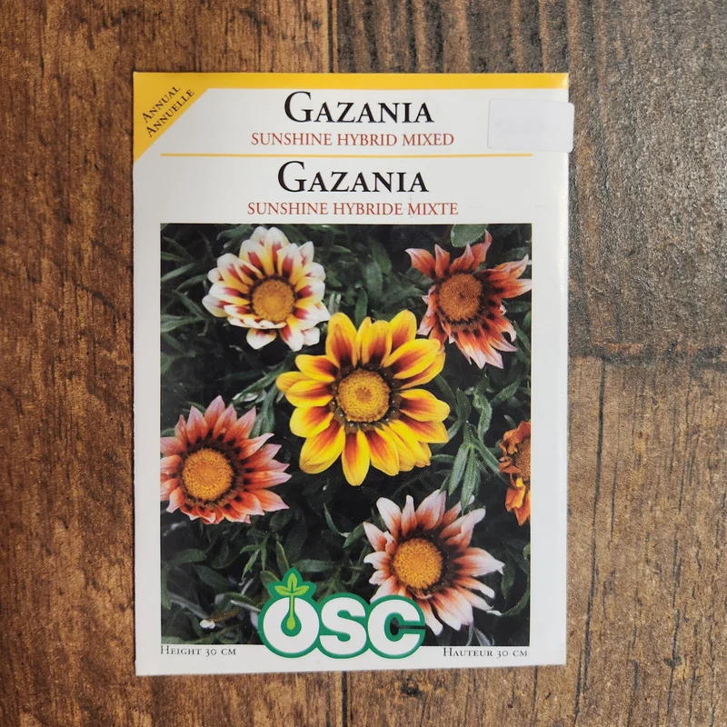 Gazania 'Sunshine Mélangés'