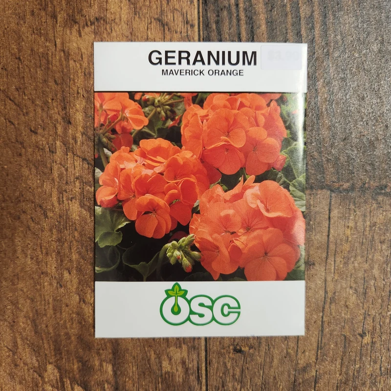 Géranium 'Maverick Orange'