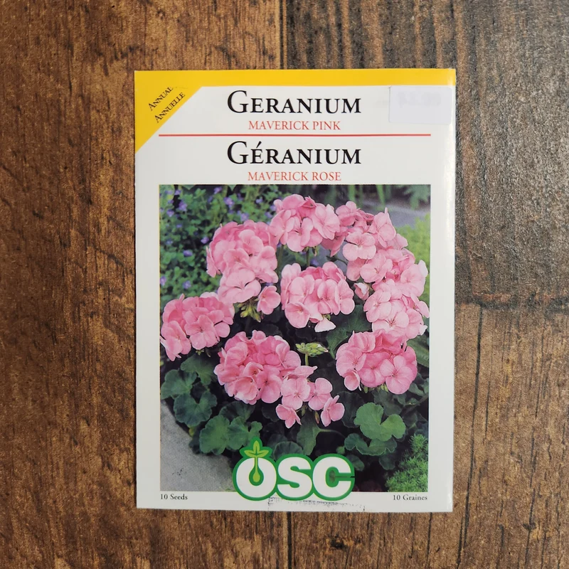 Géranium 'Maverick Pink'