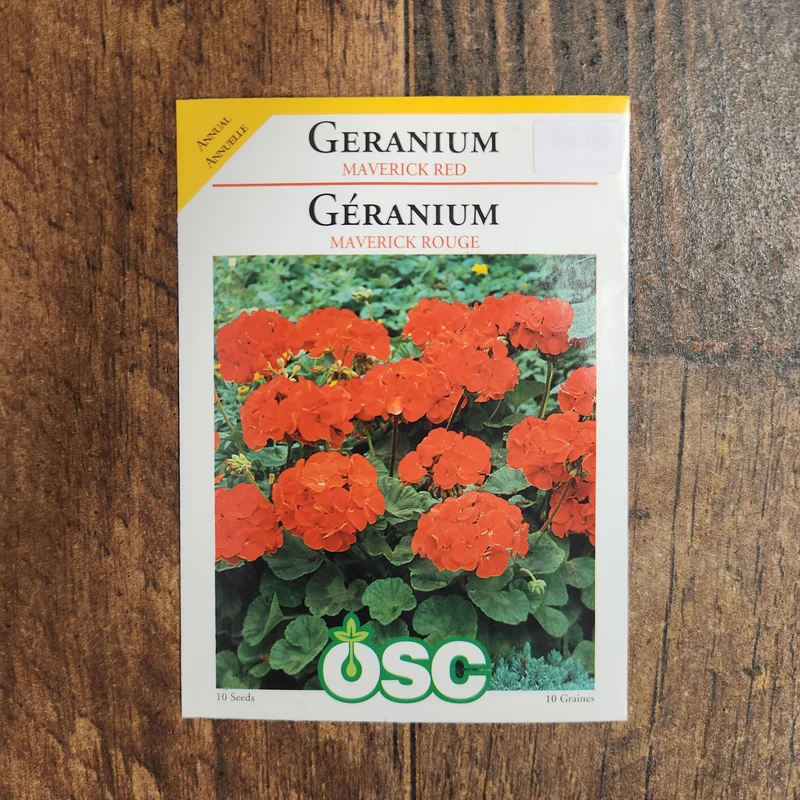 Géranium 'Maverick Rouge'