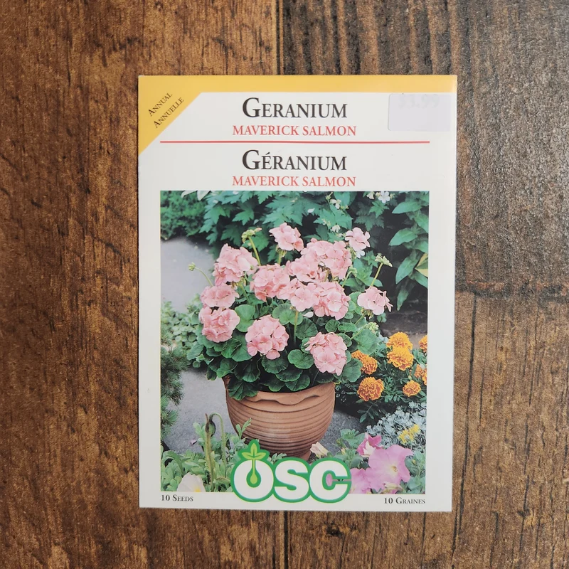 Géranium 'Maverick Saumon'