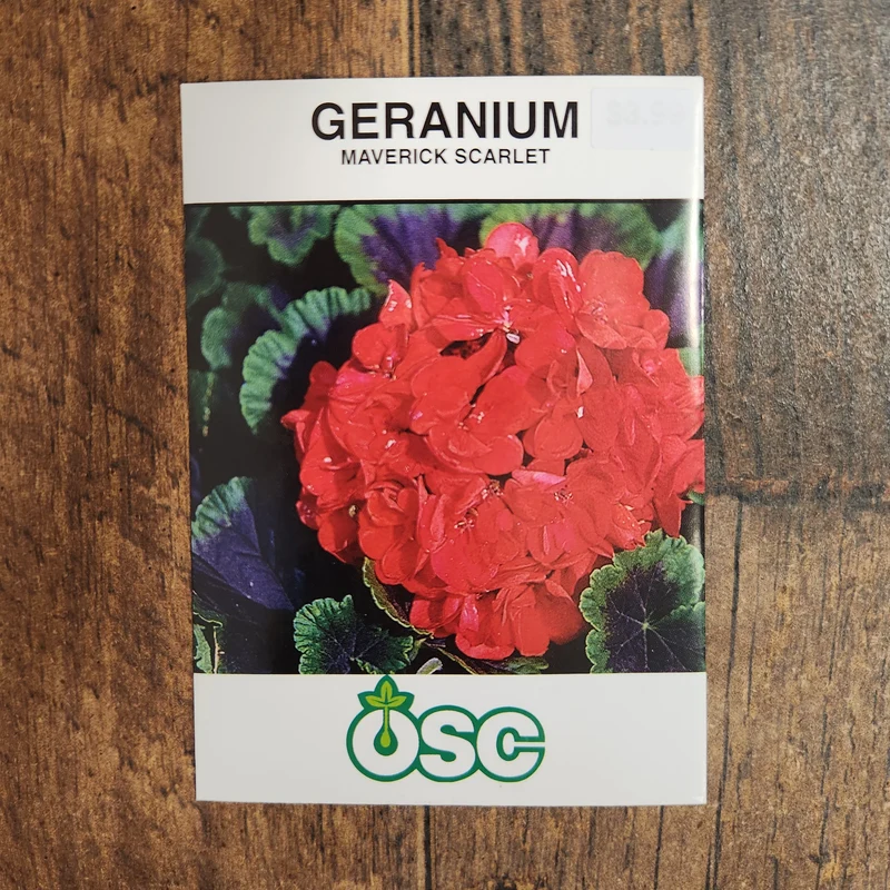 Géranium 'Maverick Écarlate'