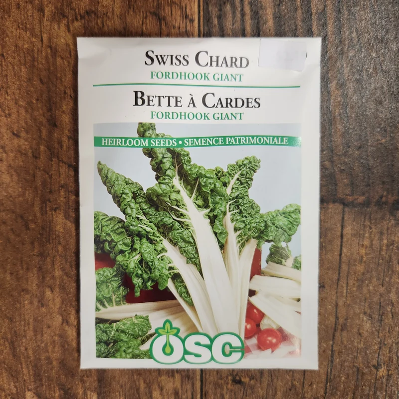 Bette à carde 'Fordhook Giant'