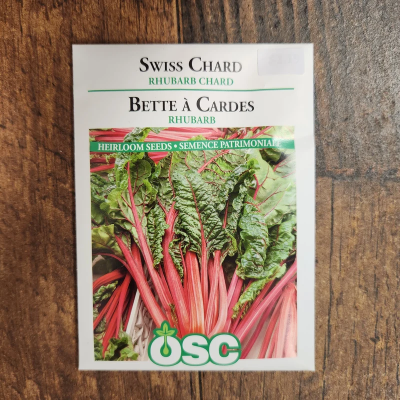 Bette à carde 'Rhubarbe'
