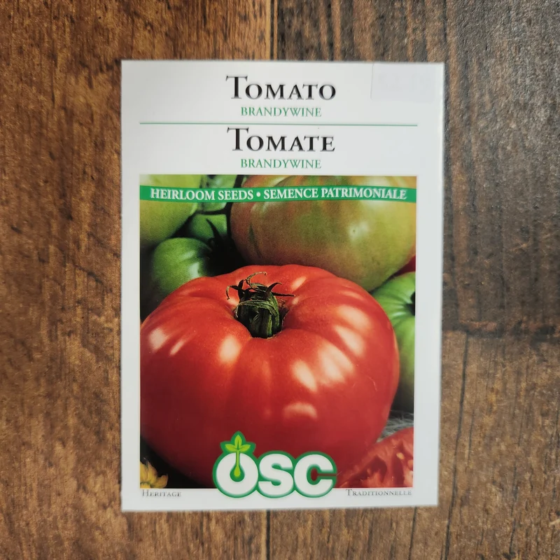 Tomate 'Brandywine'