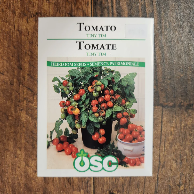 Tomate 'Tiny Tim'