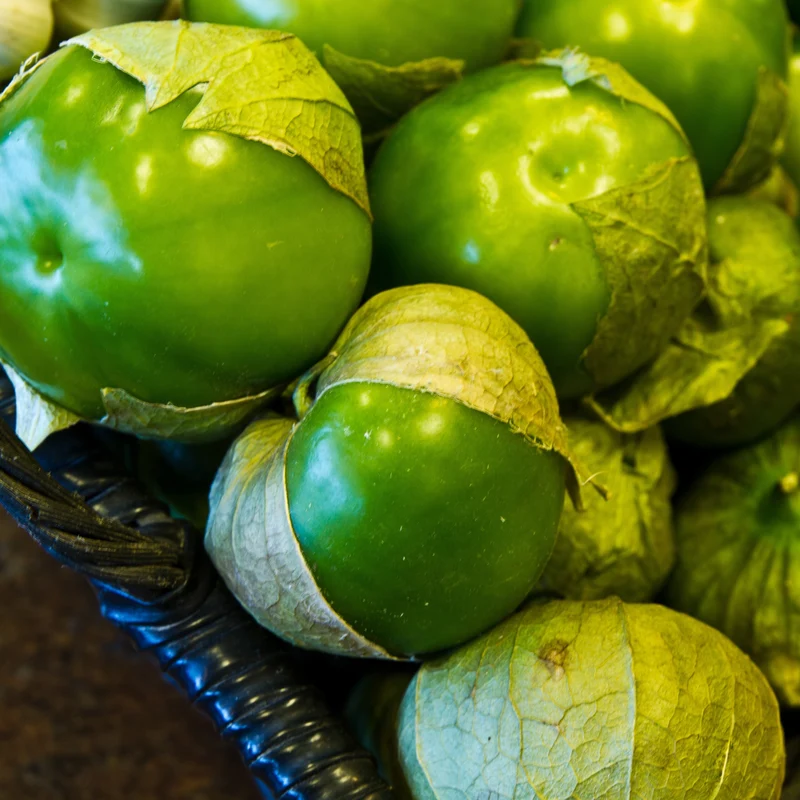 Tomatillo 'Super Verde'