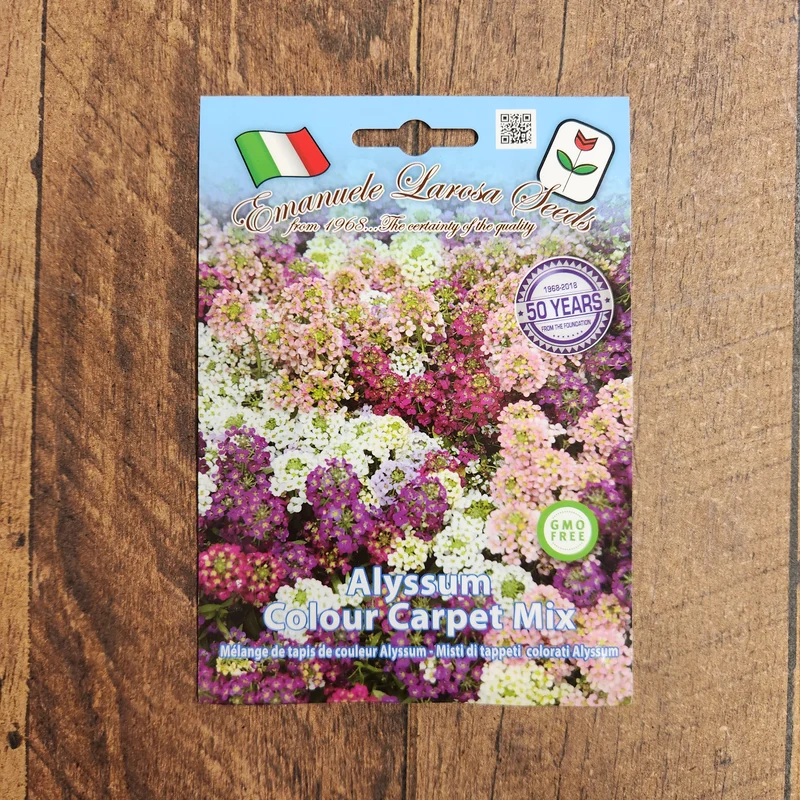 Mélange d’alyssons 'Colour Carpet' (Lobularia maritima)