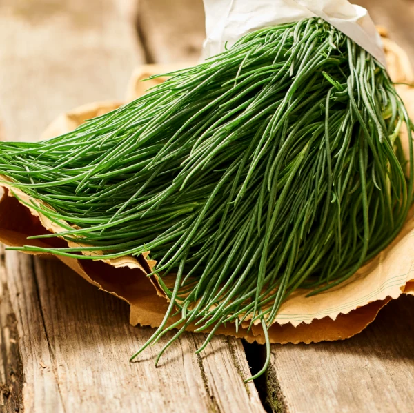 Agretti (Soda inermis)