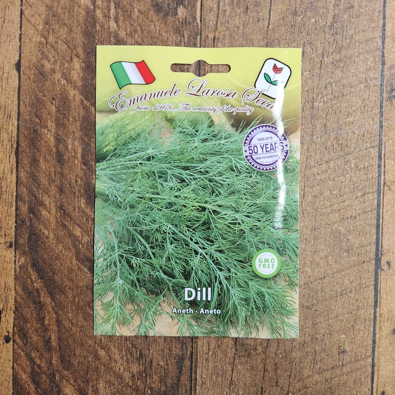 Aneth 'Aneto' (Anethum graveolens)