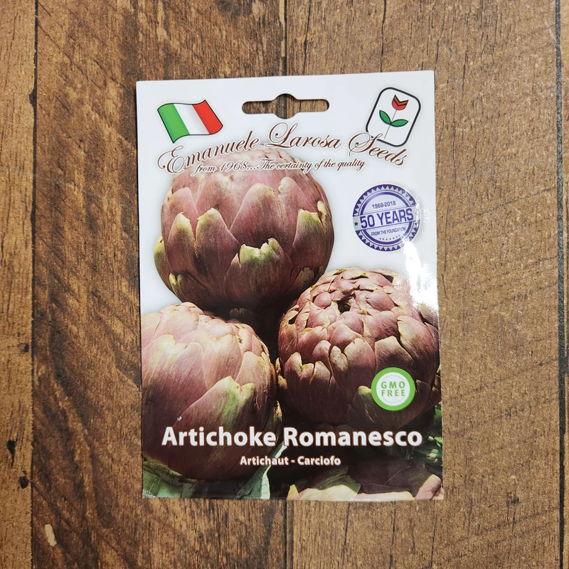 Artichaut 'Green Globe Romanesco' (Cynara cardunculus)